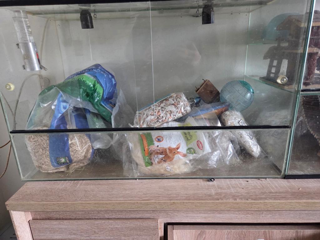 Te koop 2 terraria verschillende afmetingen. Plus toebehoren, Dieren en Toebehoren, Kooi, Fret, Ophalen, Minder dan 60 cm