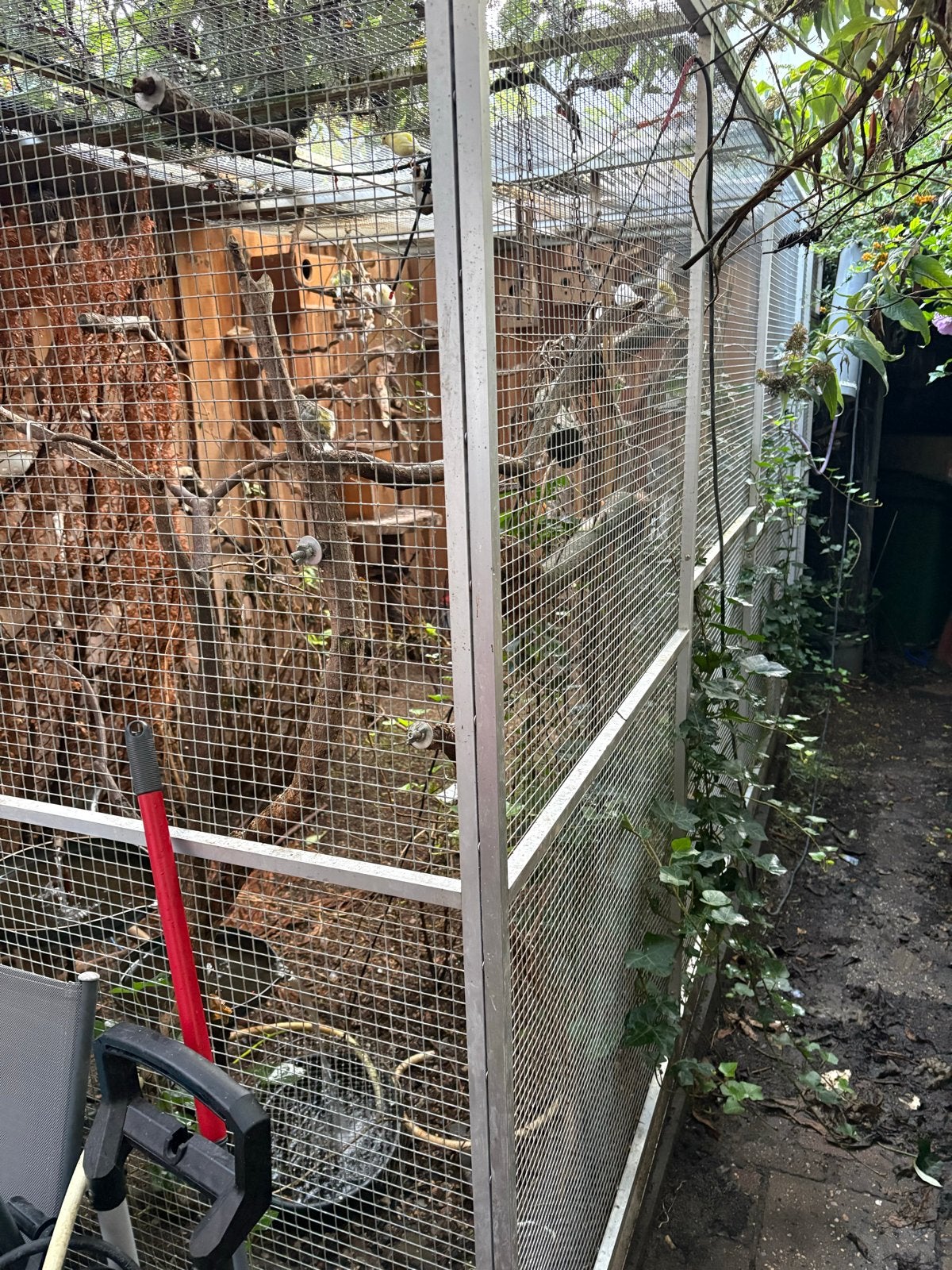 Volière, Dieren en Toebehoren, Vogels | Hokken en Kooien, Ophalen, Gebruikt, Aluminium, Volière