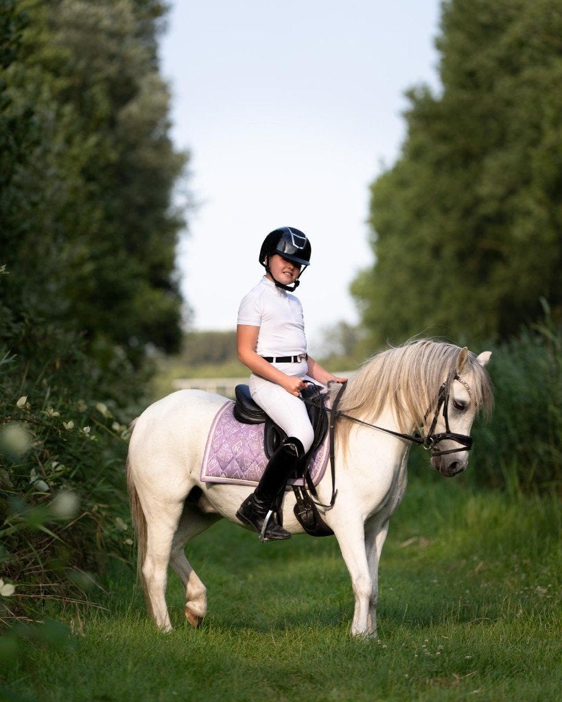 Doerak | Lieve, sociale B-pony zoekt een forever home, Dieren en Toebehoren, Gechipt, Ruin, Dressuurpony, L