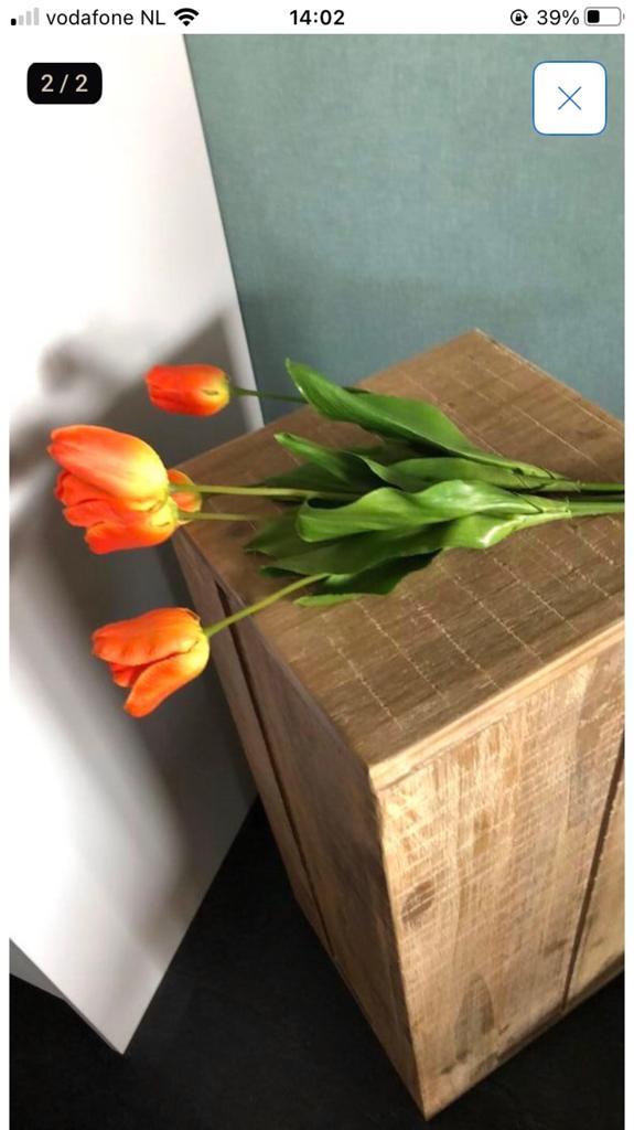 Tulpen, Ophalen of Verzenden, Zo goed als nieuw