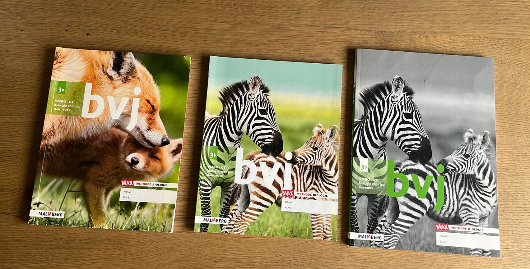 Biologie voor jou (bvj) handboek 3a,3b en werkboek 3b, Boeken, Ophalen of Verzenden, Zo goed als nieuw, VMBO, Biologie