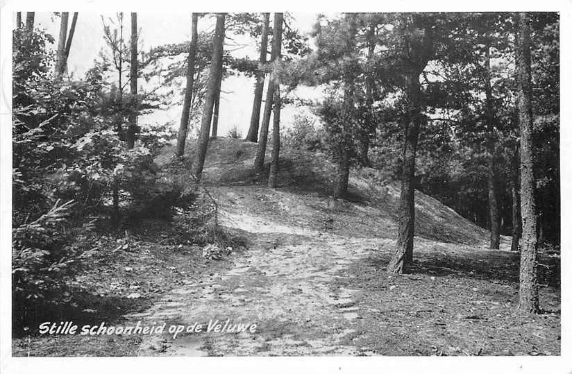 377-478-031 Veluwe, Ophalen of Verzenden, Voor 1920, Gelderland