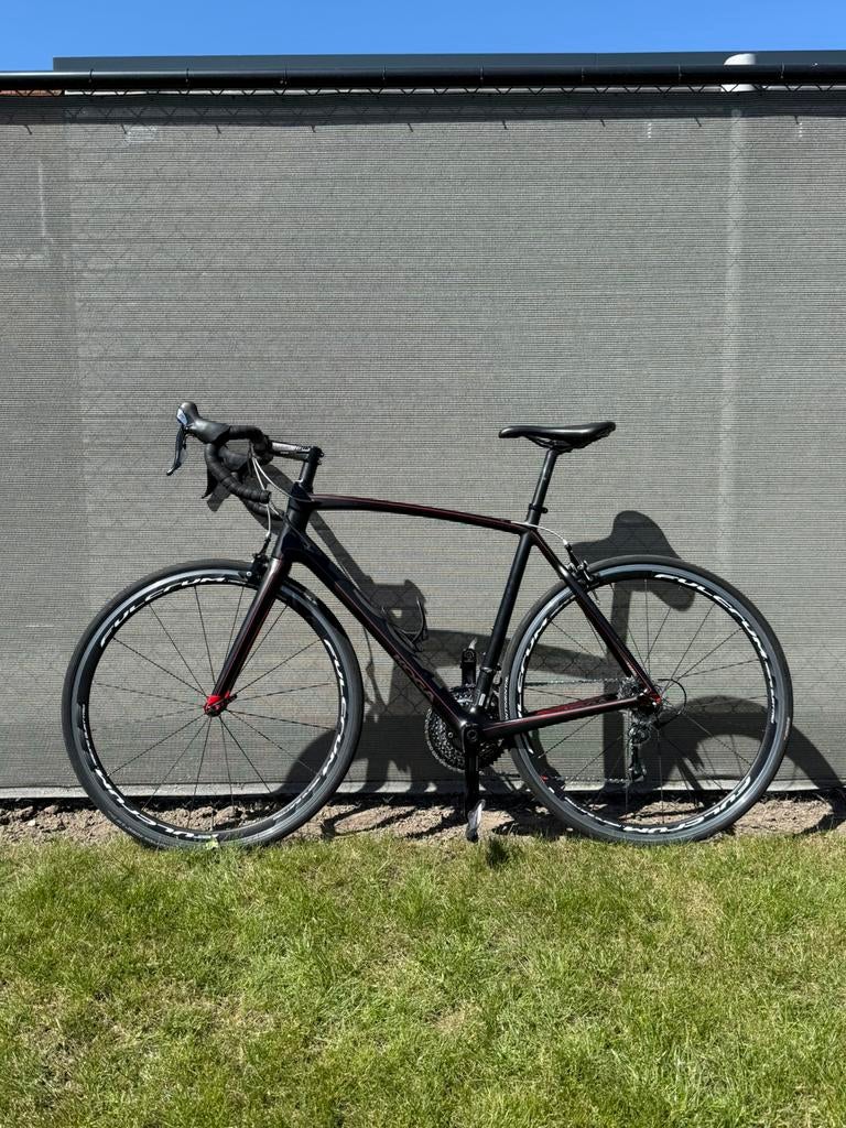 Koga Solacio - maat L - Shimano 105, 28 inch, Gebruikt, Carbon, Meer dan 20 versnellingen