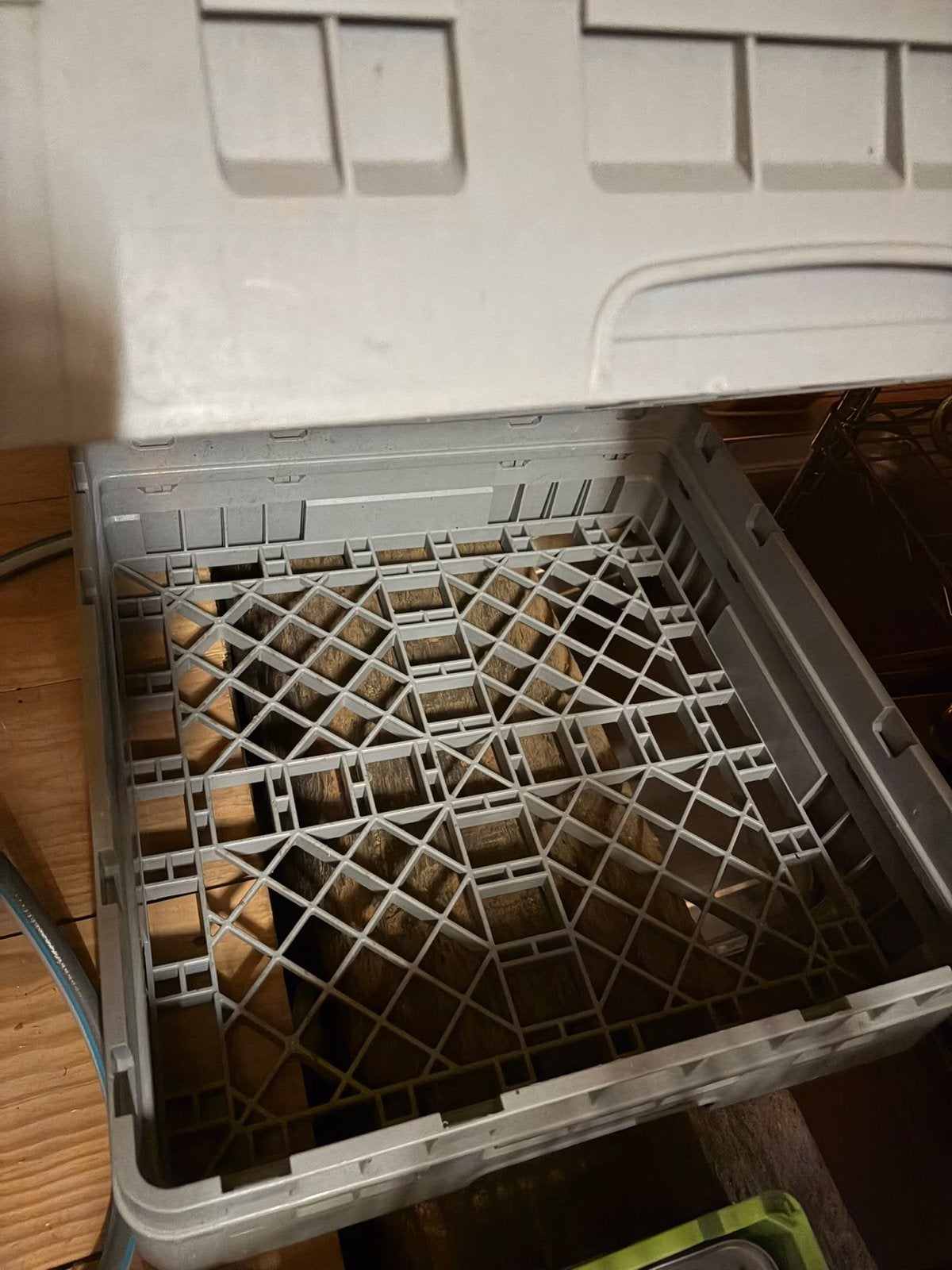 Horeca Vaatwasser kratten en bestek korven - Zaandijk, Ophalen, Gebruikt