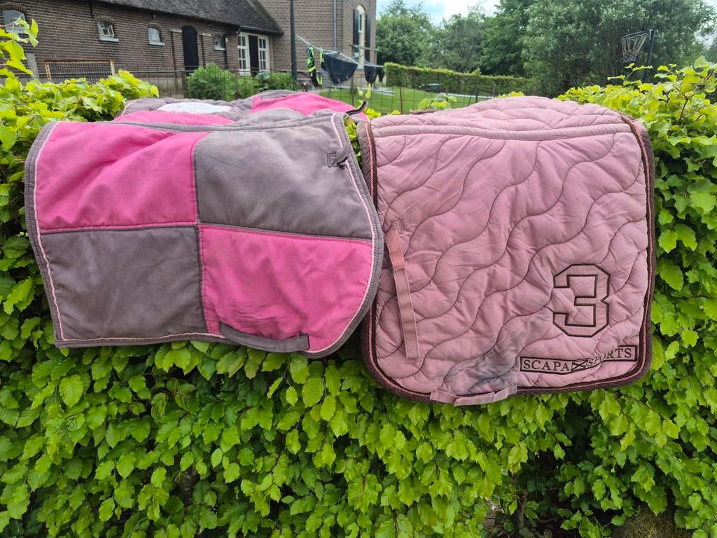 Mooi roze dressuur/spring set incl. beenschermers, Full (L), Ophalen of Verzenden, Zo goed als nieuw, Roze