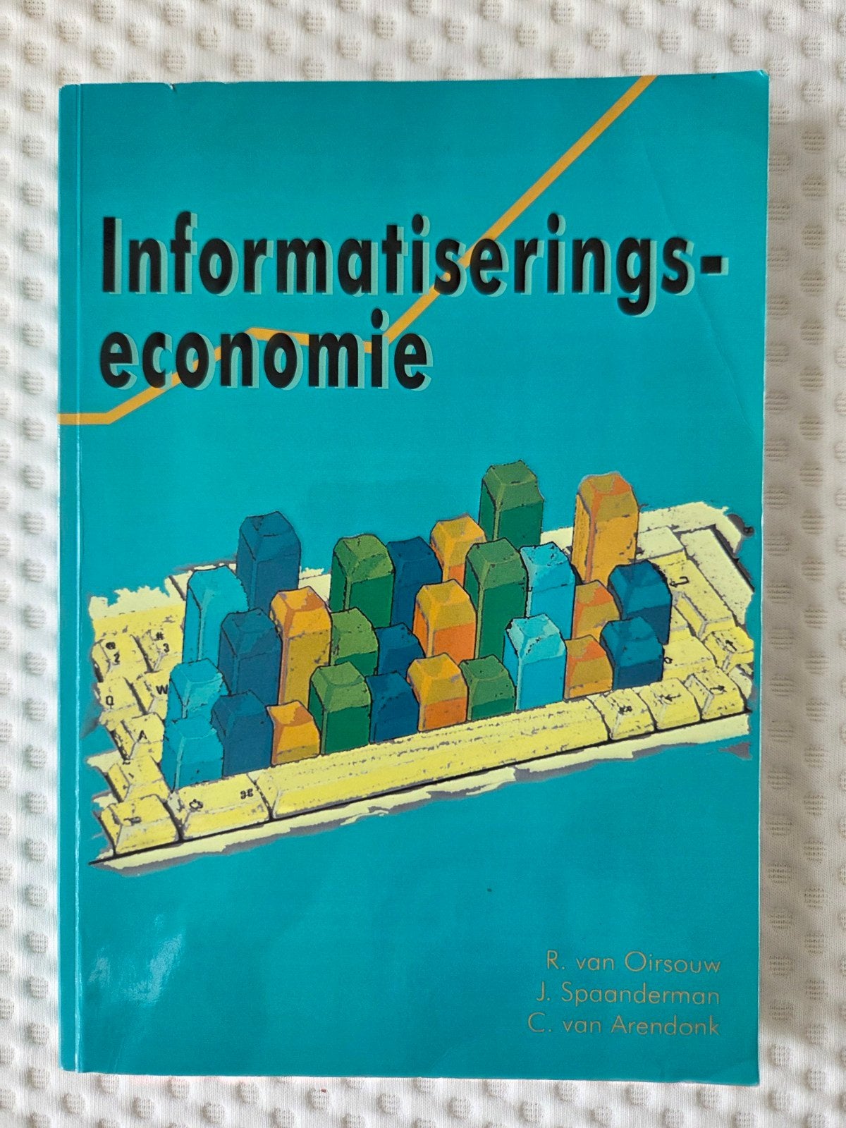 Informatiseringseconomie boek, Boeken, Ophalen of Verzenden, Gelezen, Vakgebied of Industrie, R.R. van Oursouw, J. Staanderman, C. van Arendonk