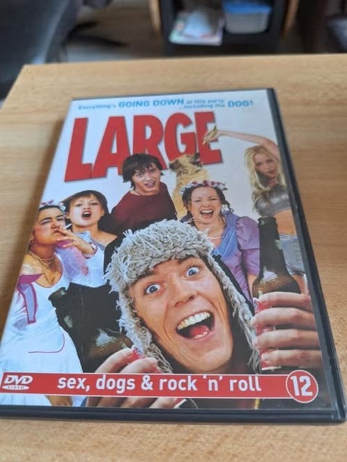 Dvd large hh, Vanaf 12 jaar, Ophalen of Verzenden, Zo goed als nieuw, Romantische komedie