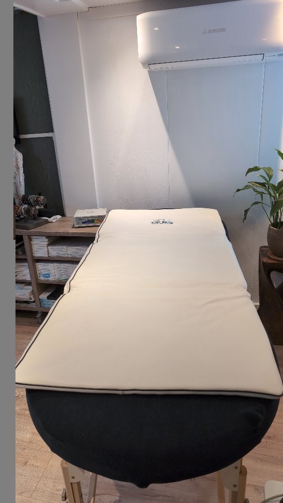 QRS Salut-1-A Quantron Magneetveldtherapie, Ophalen of Verzenden, Gebruikt, Overige typen