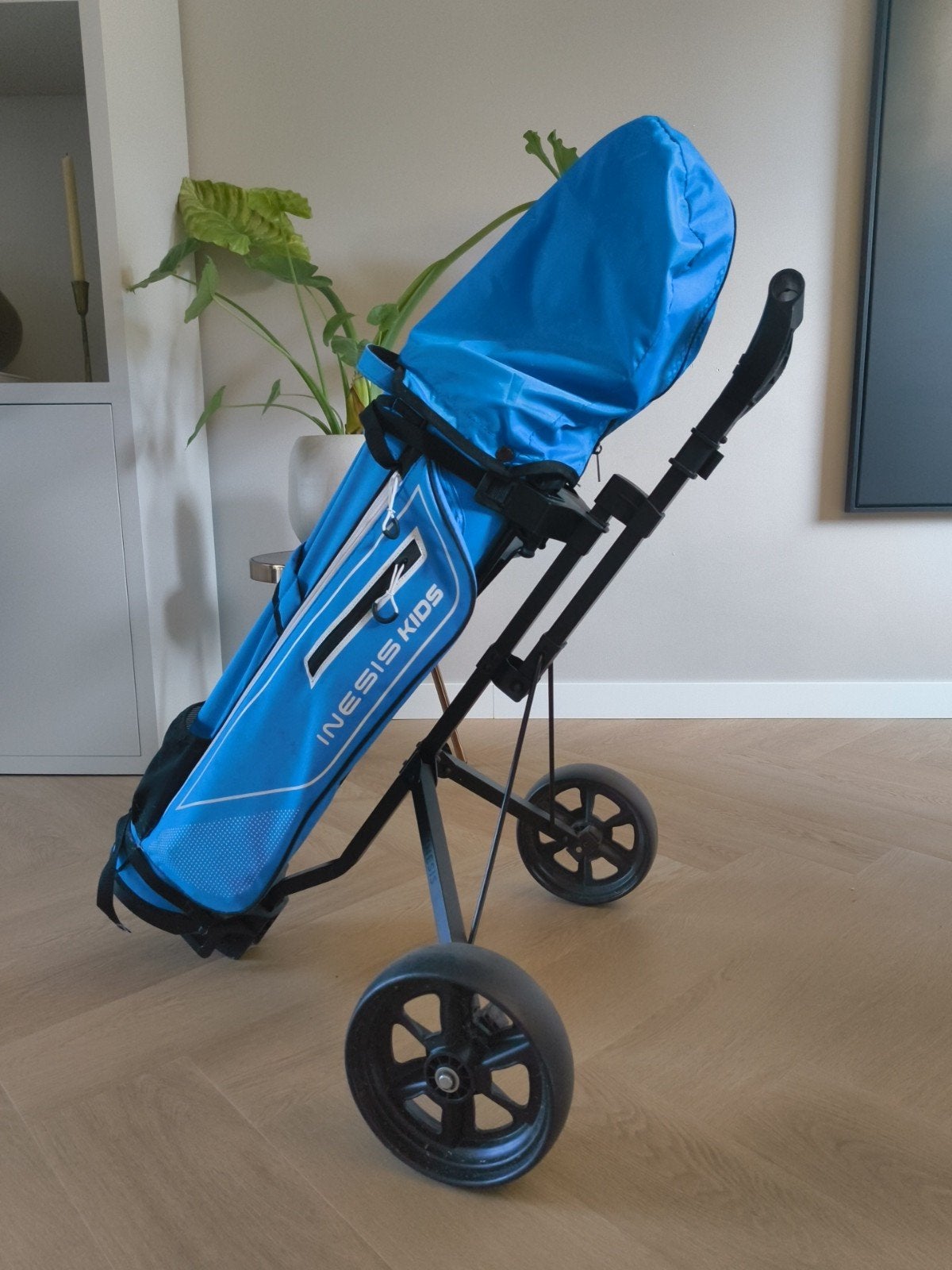 Golf set + trolley, Ophalen, Zo goed als nieuw, Set, Overige merken
