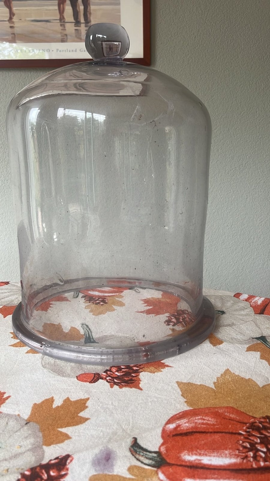 Glazen stolp - Decoratieve display voor uw interieur, Glas, Ophalen, Gebruikt