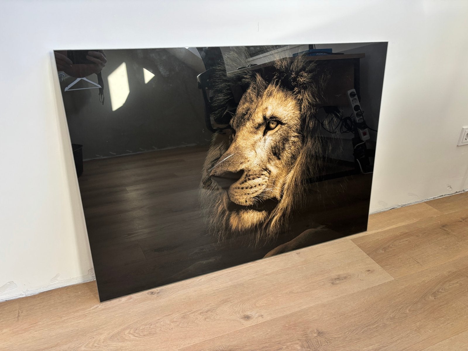 Prachtige Leeuwenprint op Glas - 120x80 cm, Ophalen, 100 tot 125 cm, 75 – 100, Print