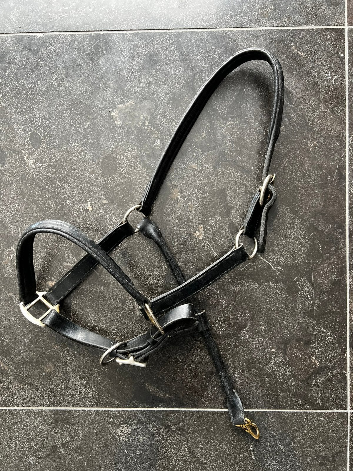 Leren halster. Fullsize, Dieren en Toebehoren, Paarden en Pony's | Hoofdstellen en Tuigage, Gebruikt, Overige disciplines, Ophalen of Verzenden