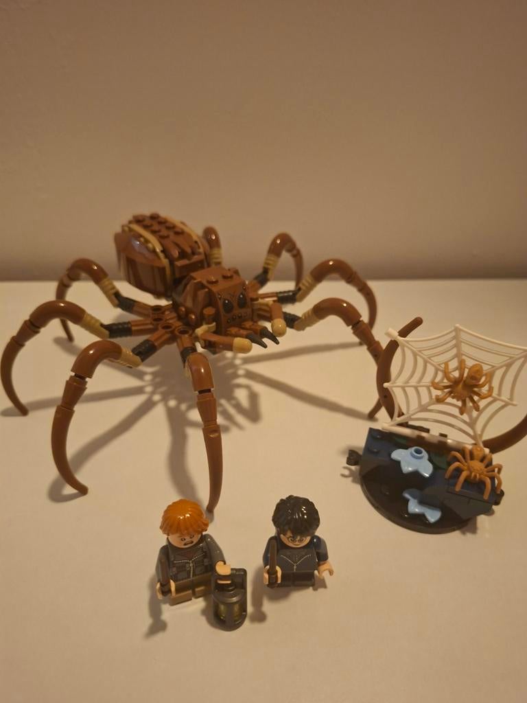 LEGO Harry Potter 76434 Aragog in het Verboden Bos, Compleet, Lego, Harry Potter, Ophalen of Verzenden