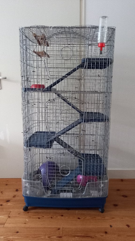 Rattenkooi, Dieren en Toebehoren, Ophalen, Kooi, Gebruikt, 90 cm of meer