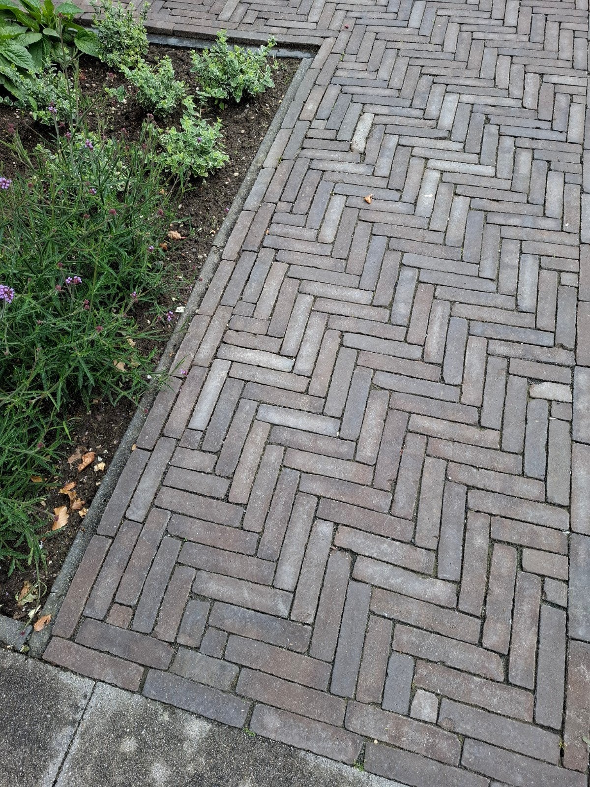 Classica Novoton getrommeld gebakken wf klinkers Nostalgie, Tuin en Terras, Tegels en Klinkers, Ophalen, Gebruikt, Klinkers, Minder dan 5 m²