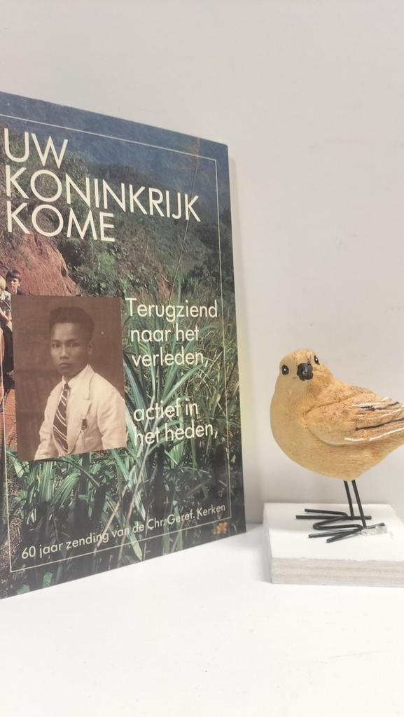 Carlier, Ds J.H.e.a. ; Uw Koninkrijk kome (60 jr zending CGK, Boeken, Ophalen of Verzenden, Gelezen, Christendom | Protestants
