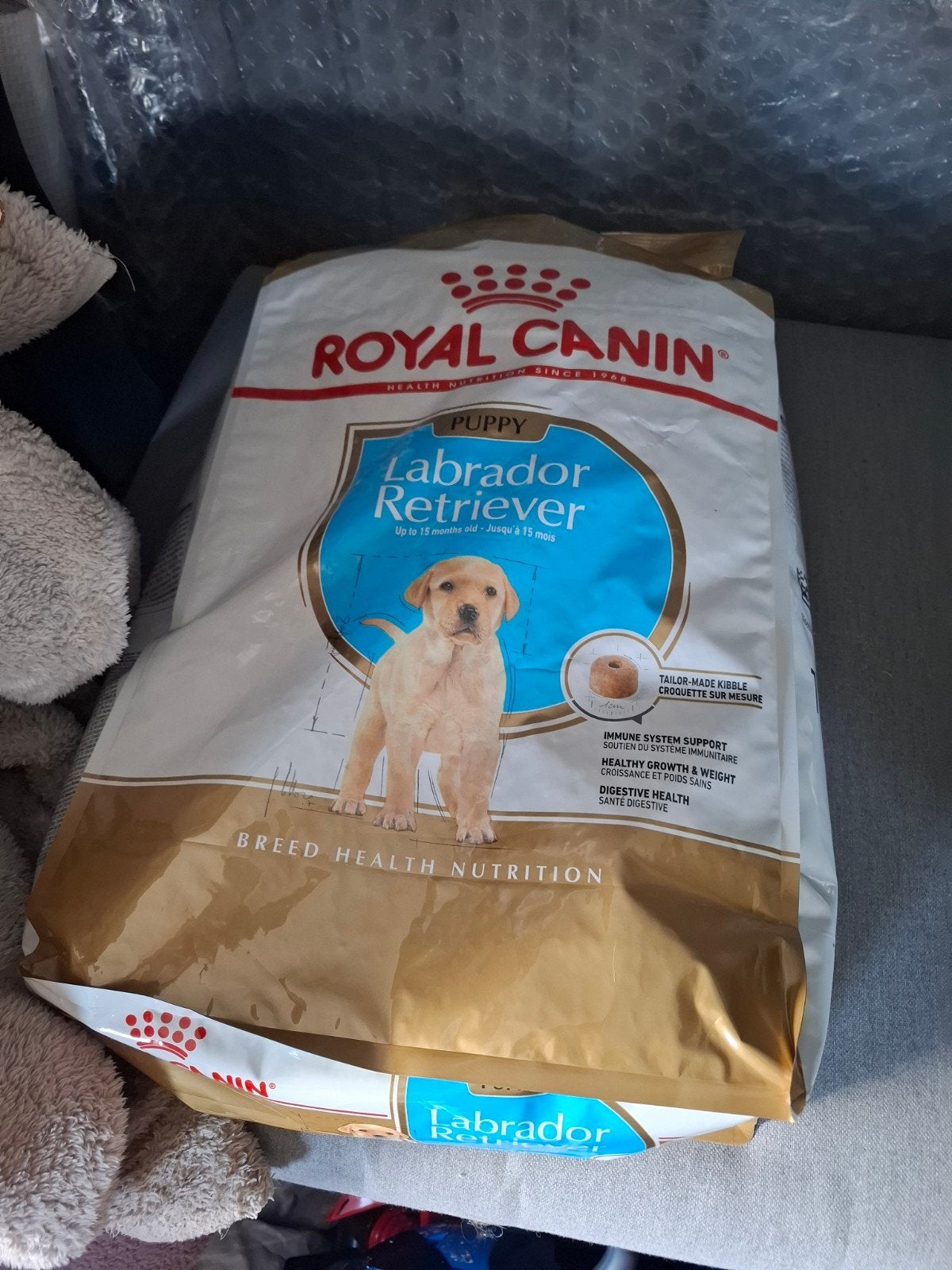 royal canin labrador pup retriever brok, Ophalen, Hond