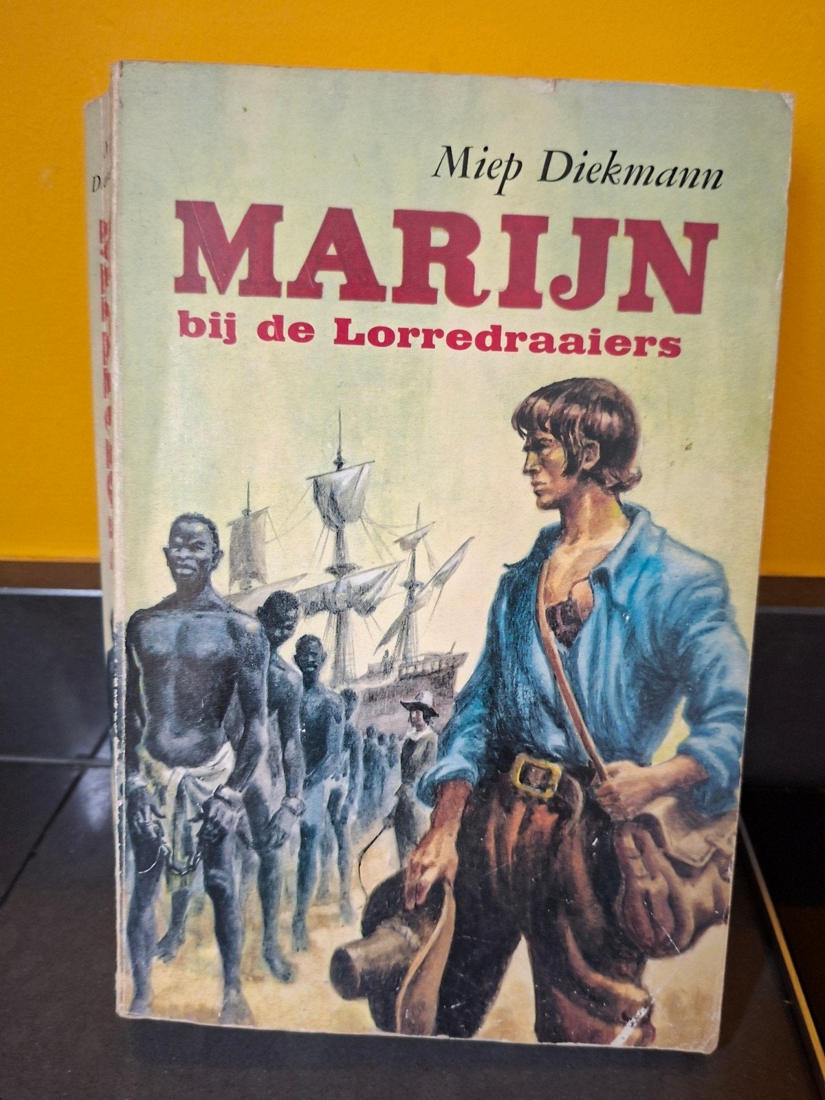 Marijn bij de Lorredraaiers - Miep Diekman, Gelezen, Non-fictie, Miep Diekmann, Ophalen of Verzenden