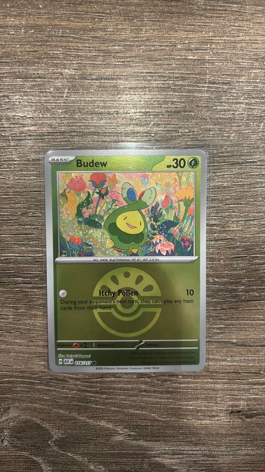 ASC Budew 016/217 Ball Reverse holo, Ophalen of Verzenden, Zo goed als nieuw