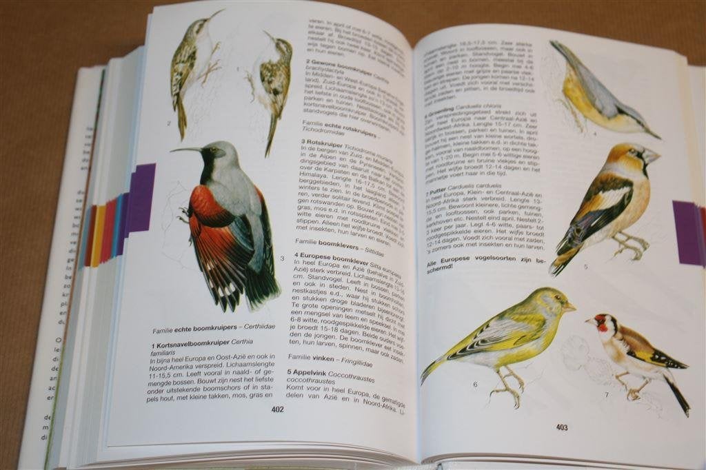 De grote Rebo natuurgids. Onze planten-en dierenwereld., Boeken, Ophalen of Verzenden, Gelezen, Bloemen, Planten en Bomen