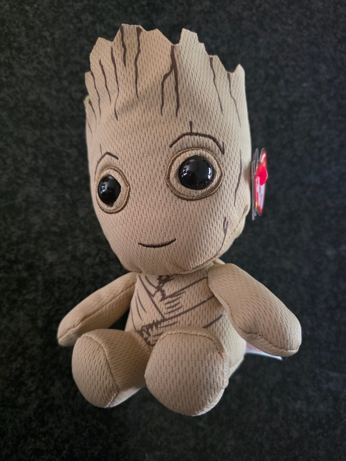 Ty Beanie Babies Groot knuffel, Kinderen en Baby's, Speelgoed | Knuffels en Pluche, Overige karakters, Overige typen, Nieuw, Ophalen of Verzenden