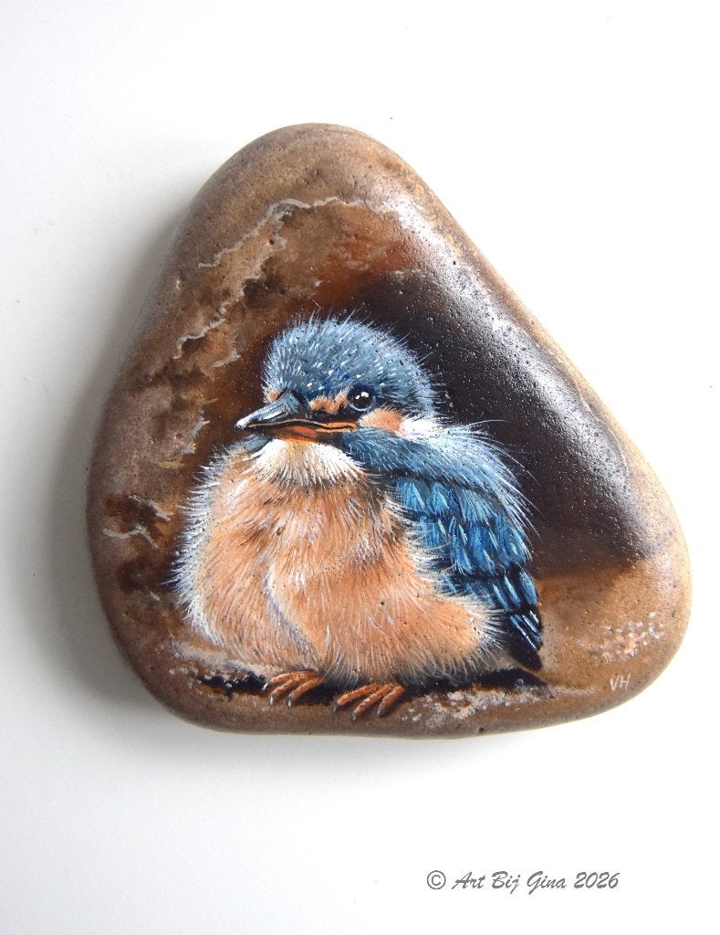Jonge IJsvogel, hand geschilderd op een grote riviersteen, Ophalen of Verzenden