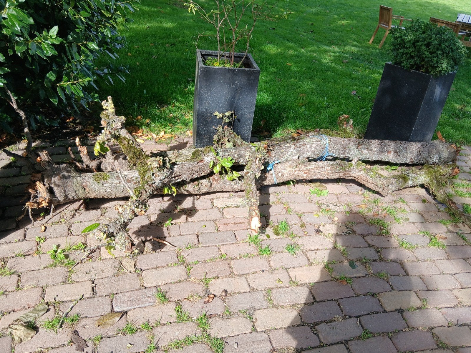 brandhout, Minder dan 3 m³, Ophalen, Overige houtsoorten, Stammen