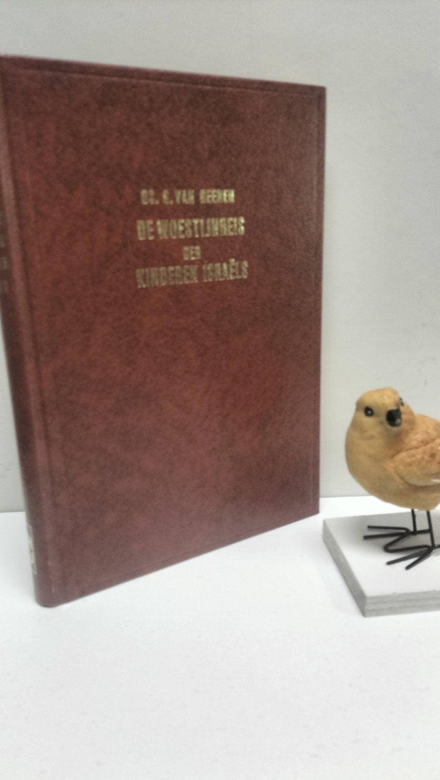 Reenen,  Ds. G. van ; De woestijnreis der kinderen Israels, Ophalen of Verzenden, Gelezen, Christendom | Protestants