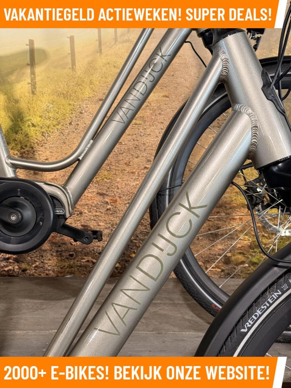 Van Dijck Phaedra Elektrische fiets met Bafang motor ebikes!, Overige merken