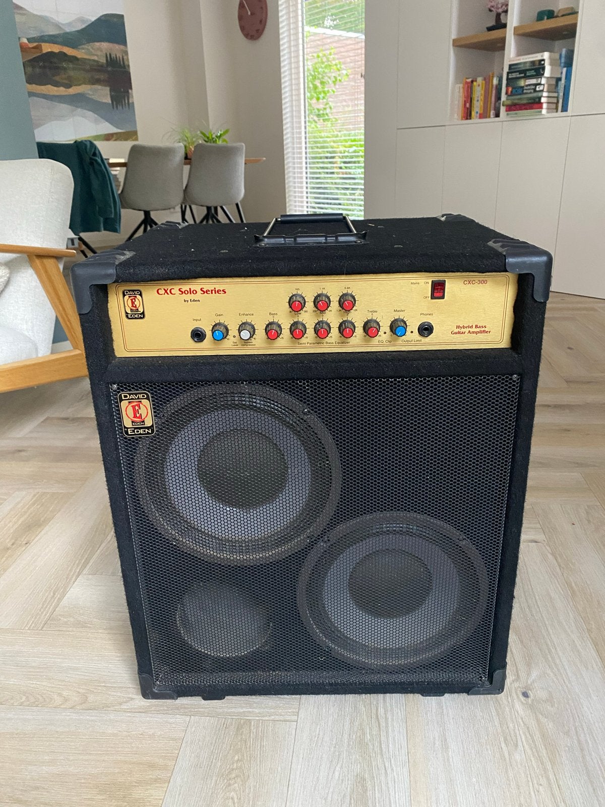David Eden CXC300 Hybrid Bass Gitaarversterker, Ophalen, Gebruikt, Basgitaar, 100 watt of meer