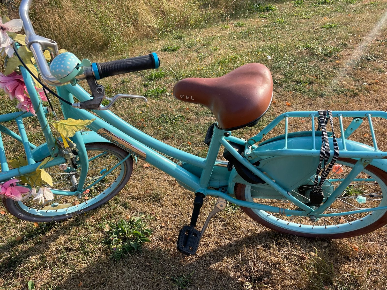 Popal meisjesfiets 20 inch, Ophalen, Gebruikt, Terugtraprem, 20 inch of meer