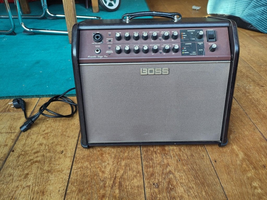 Boss Acoustic Singer Pro