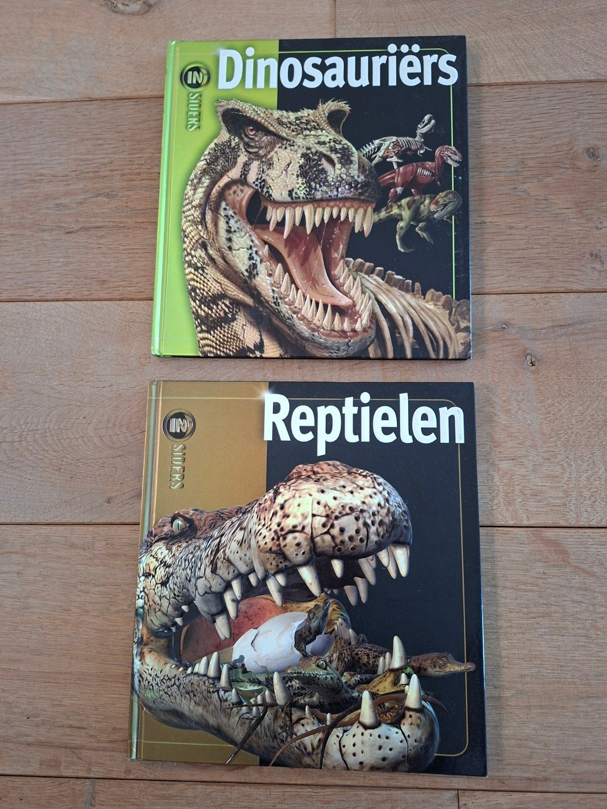 Reptielen en Dinosaurus, Boeken, Ophalen of Verzenden, Zo goed als nieuw, Reptielen of Amfibieën