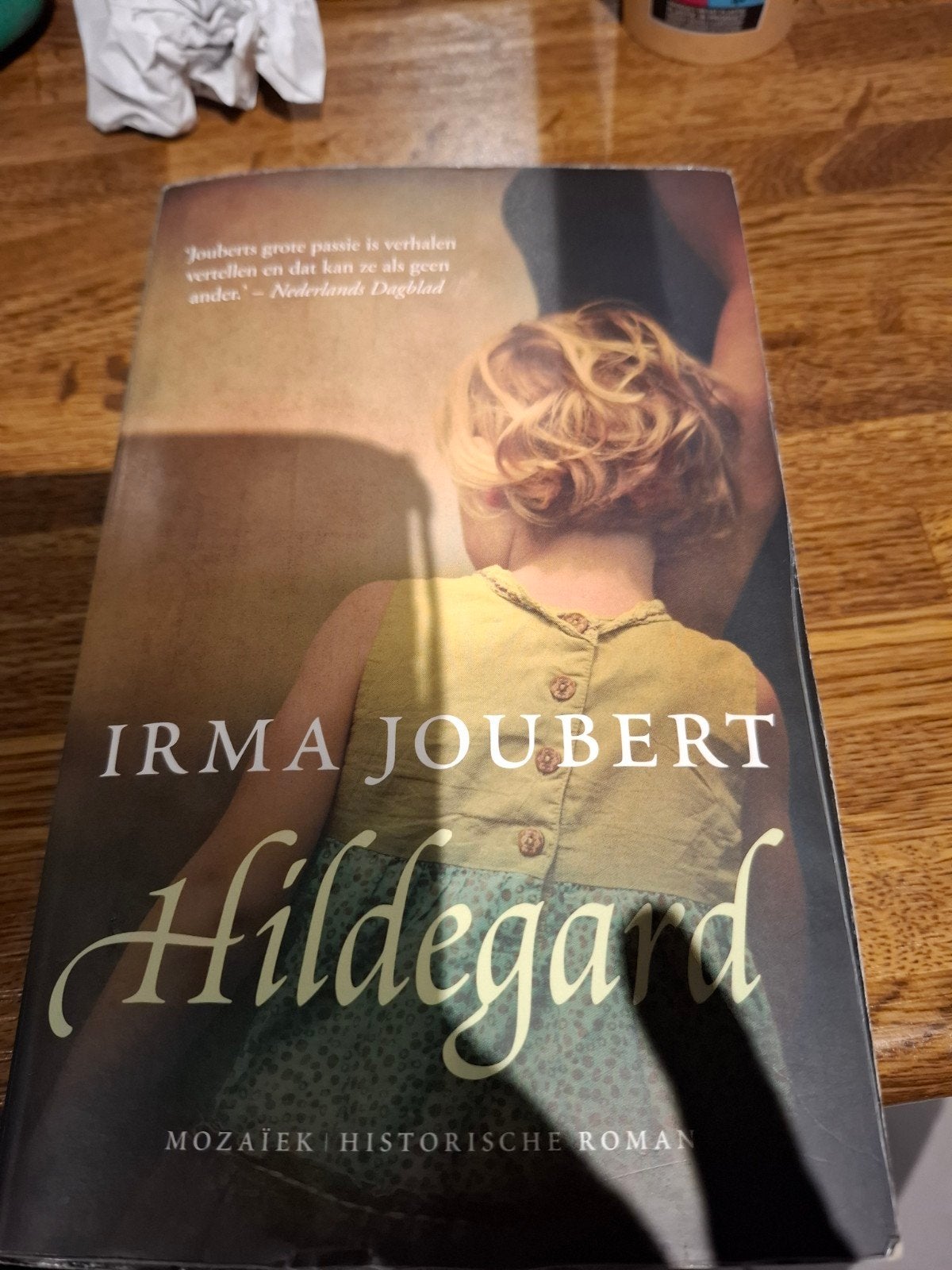 Hildegard - Irma Joubert (Historische Roman), Ophalen of Verzenden, Zo goed als nieuw, Irma Joubert