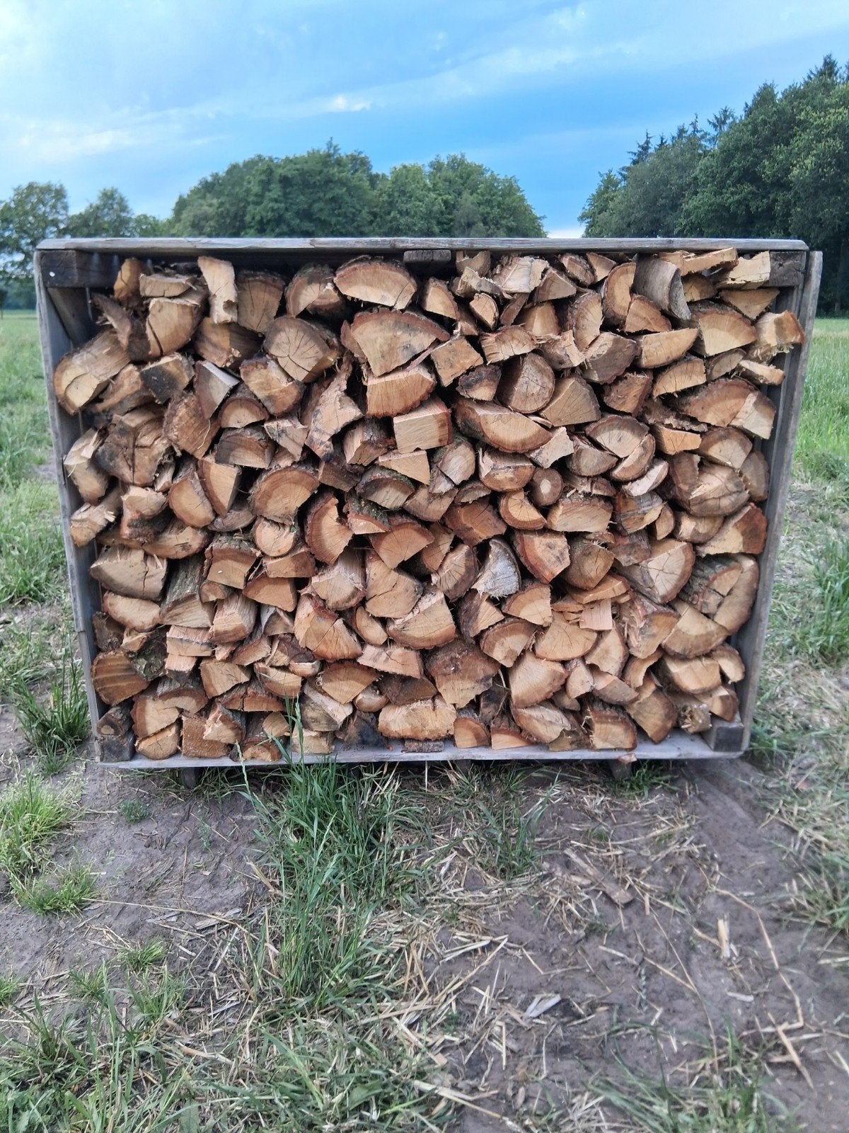 2.2 kuub eiken haardhout/brandhout, Tuin en Terras, Minder dan 3 m³, Ophalen, Eikenhout, Blokken