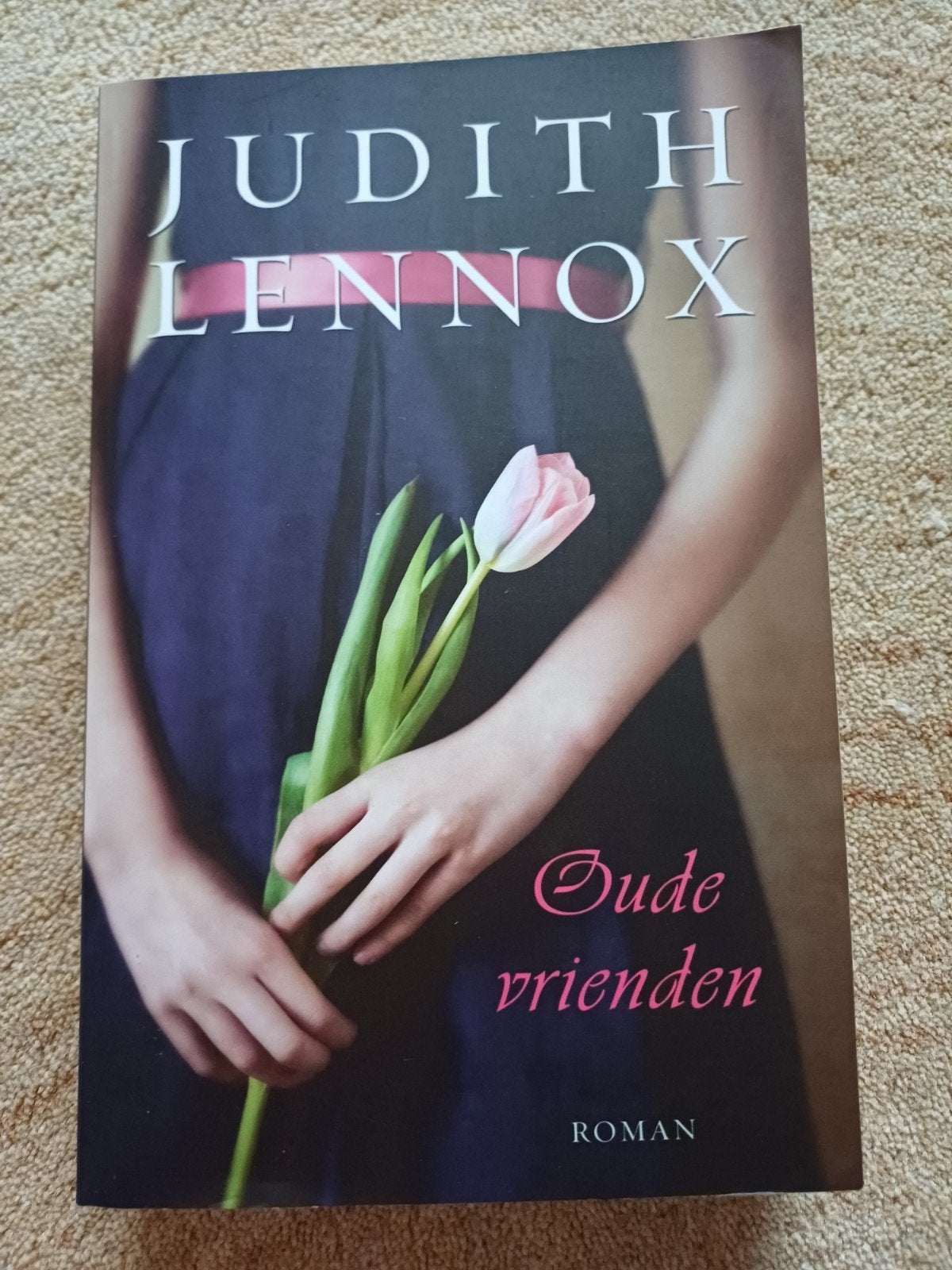 Judith Lennox - Oude vrienden, Boeken, Romans, Zo goed als nieuw, Ophalen of Verzenden