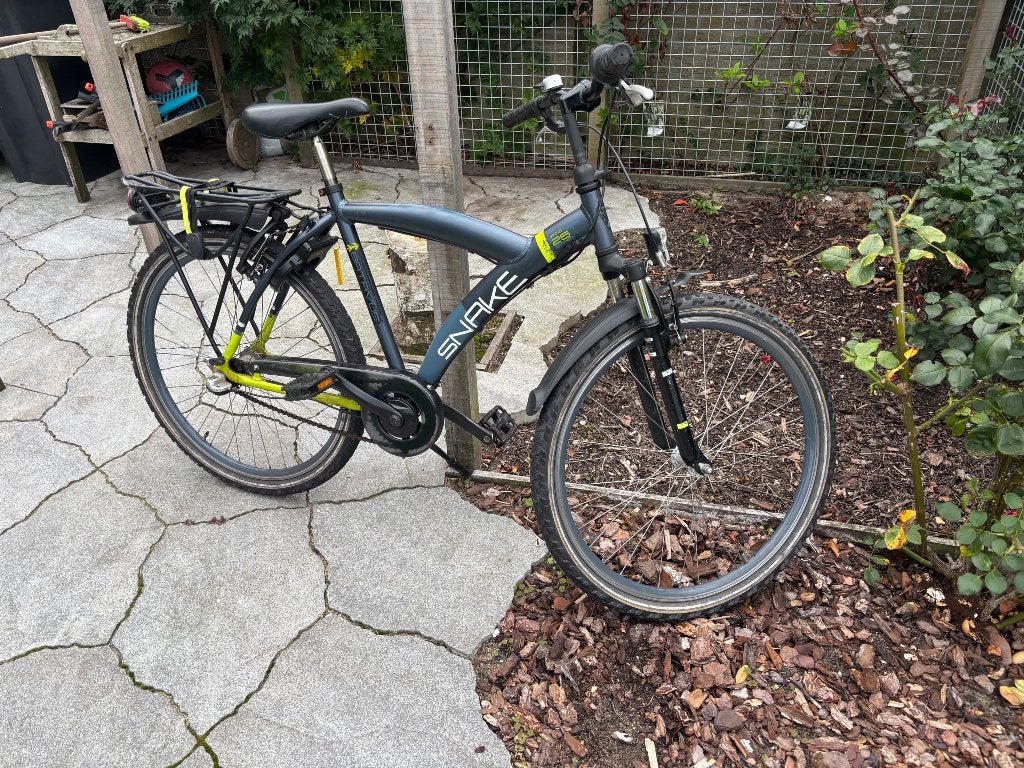 Foto 2 van Batavus Snake 26 inch