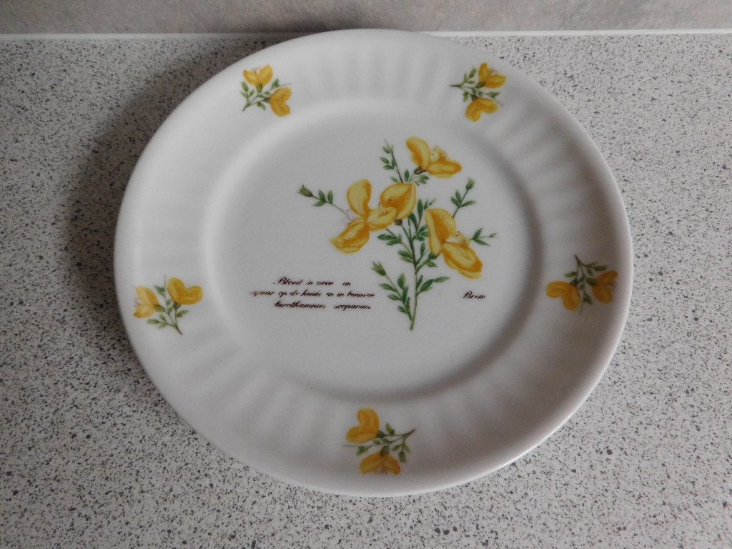 Bord 18 cm. Gele Brem Libelle Exclusief Marjolein Bastin, Huis en Inrichting, Keuken | Servies, Overige merken, Ophalen of Verzenden