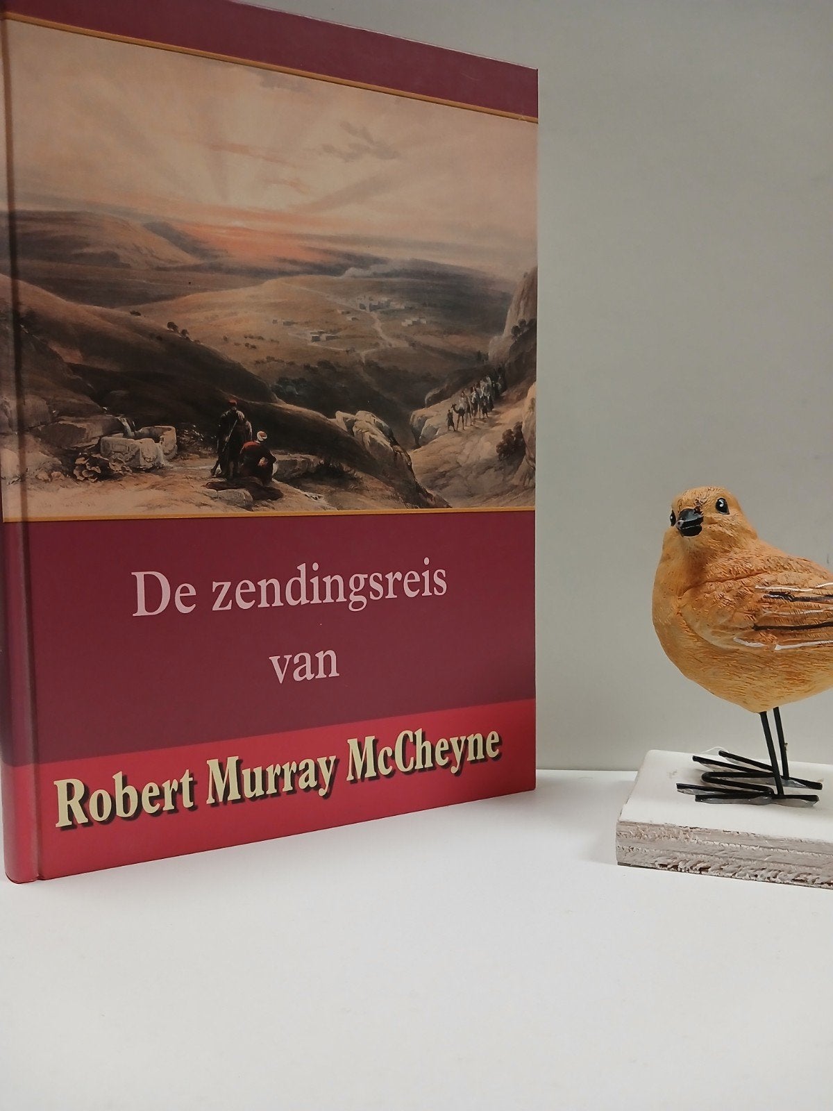 McCheyne, R.M. ; De zendingsreis van Robert M. McCheyne, Ophalen of Verzenden, Gelezen, Christendom | Protestants