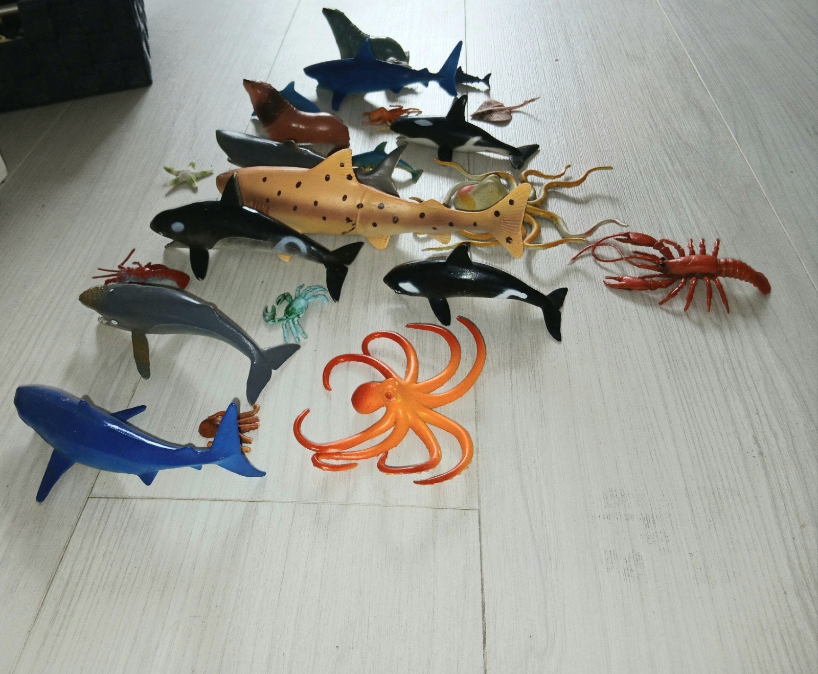 Zeedierenpakket, Ophalen of Verzenden, Jongen of Meisje
