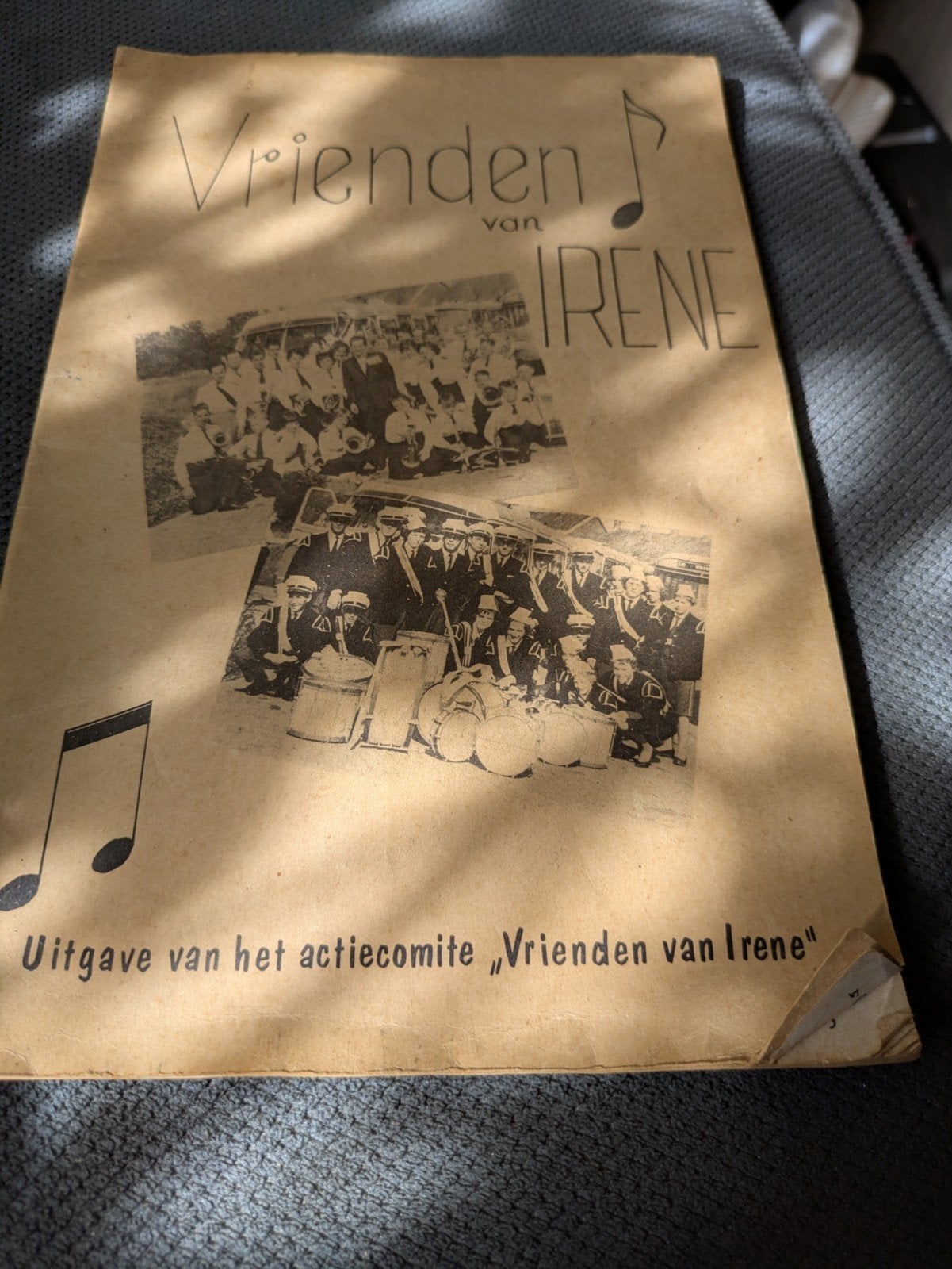 Vrienden van Irene - Nieuw Vennep (1961), Boeken, Ophalen, Gelezen, Nederland
