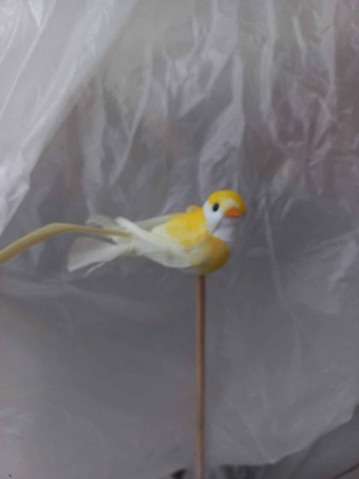 decoratie vogel geel, Ophalen