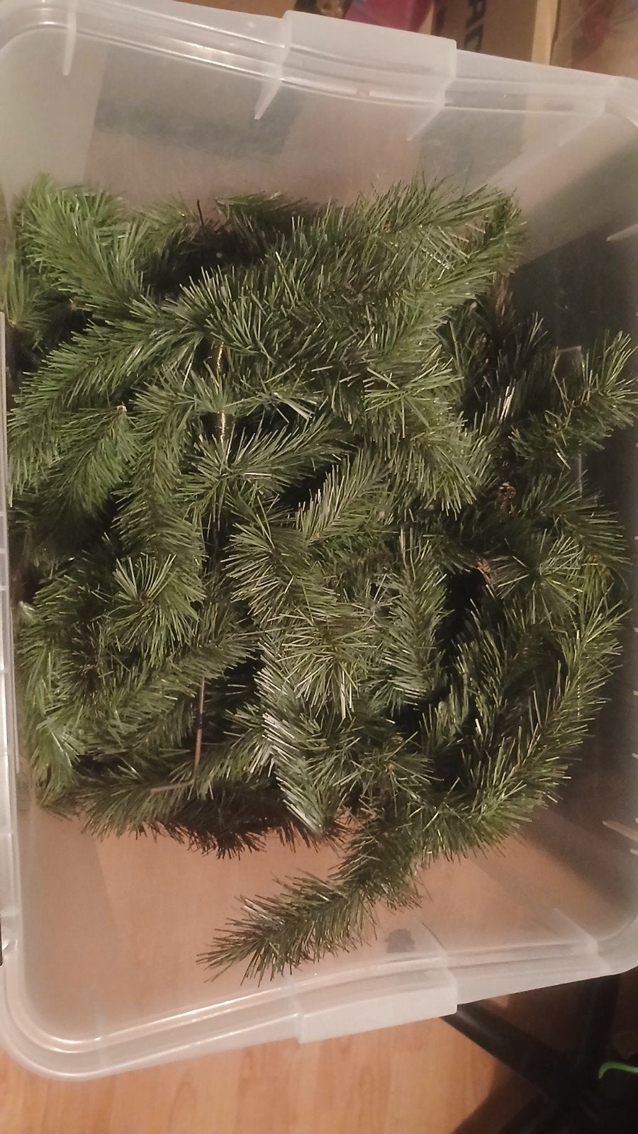 kerst takken, Diversen, Kerst, Ophalen