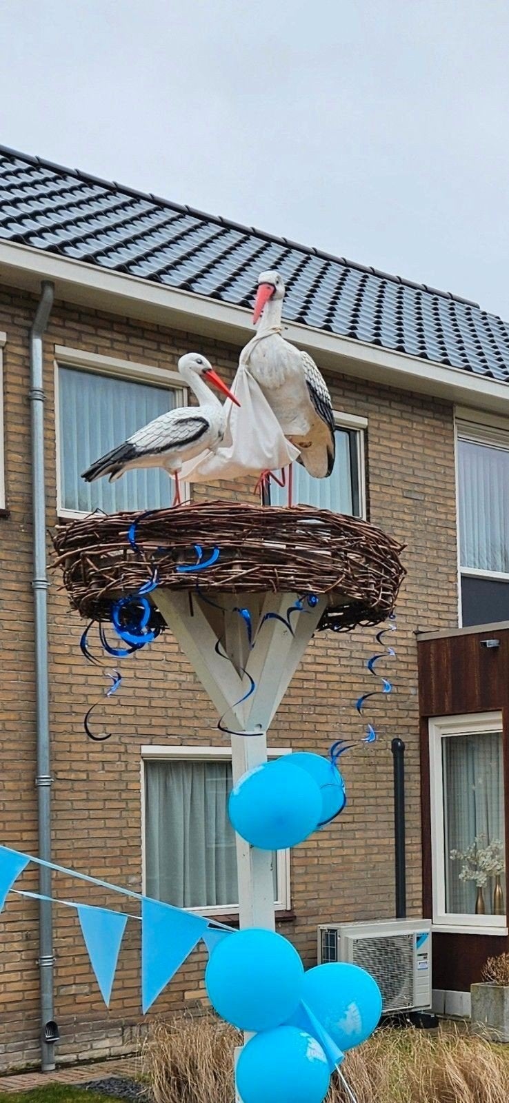 Geboorte ooievaar 3D op een echt nest DIRECT BESCHIKBAAR, Ophalen, Geboortebord