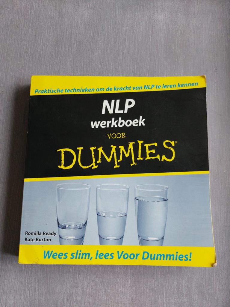 NLP werkboek voor dummies, Ophalen of Verzenden, Zo goed als nieuw