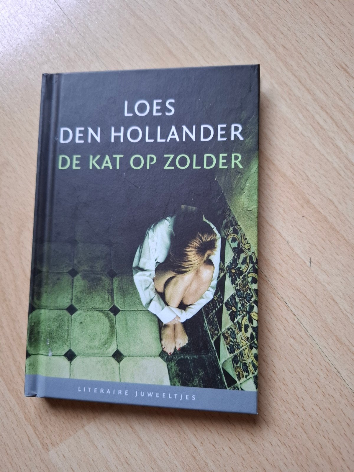 loes den Hollander de kat op zolder, Ophalen of Verzenden, Zo goed als nieuw