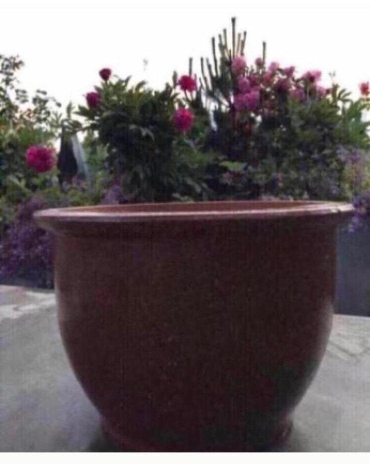 Grote oud Hollandse terracotta kwaliteit bloempotten uniek, Tuin en Terras, Bloempotten, Ophalen, Rond, Tuin, Minder dan 40 cm