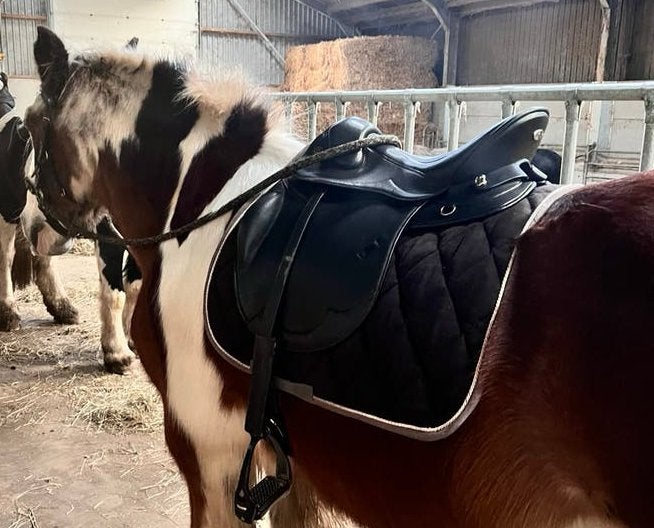 Kieffer Trekker Trail 18 inch, Ophalen of Verzenden, Zo goed als nieuw, Dressuur