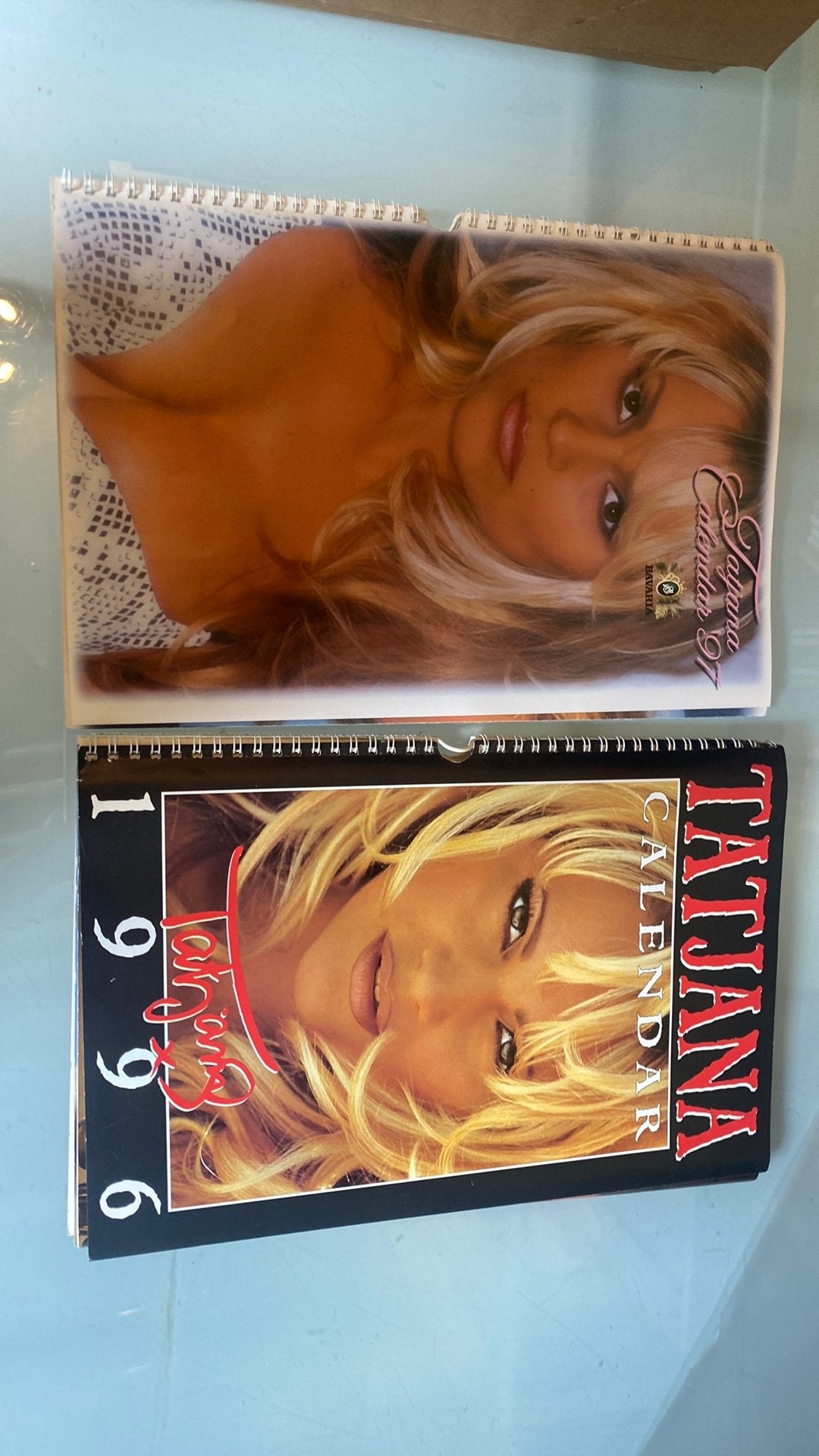 Tatjana Simic calendar 1996 1997, Ophalen of Verzenden, Jaarkalender, Gebruikt