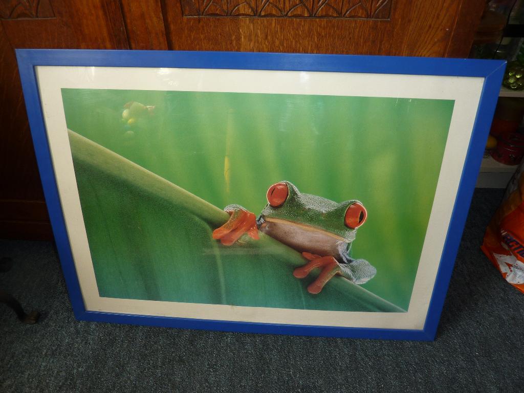 2 grote posters nieuw kikker en fruit, Ophalen of Verzenden, Nieuw, A1 t/m A3, Dier of Natuur